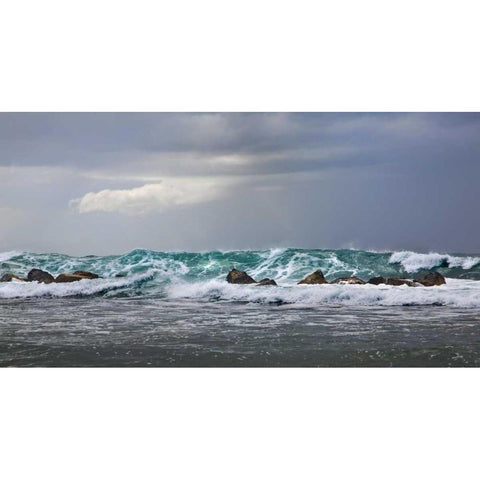 Storm in Dorado Gold Ornate Wood Framed Art Print with Double Matting by Miamee, Golie