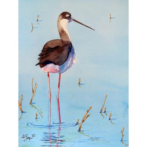 Black Neck Stilt III Black Modern Wood Framed Art Print with Double Matting by Muren, Nancy LaBerge