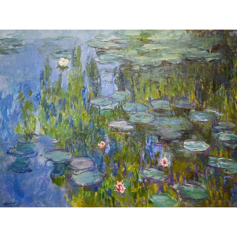 Seerosen White Modern Wood Framed Art Print by Monet, Claude