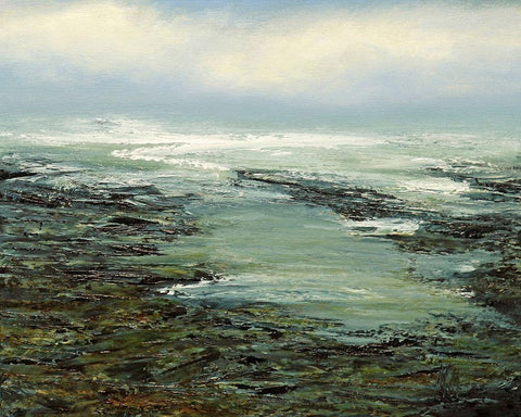 Shallow Reef Black Ornate Wood Framed Art Print with Double Matting by Mote, Michael