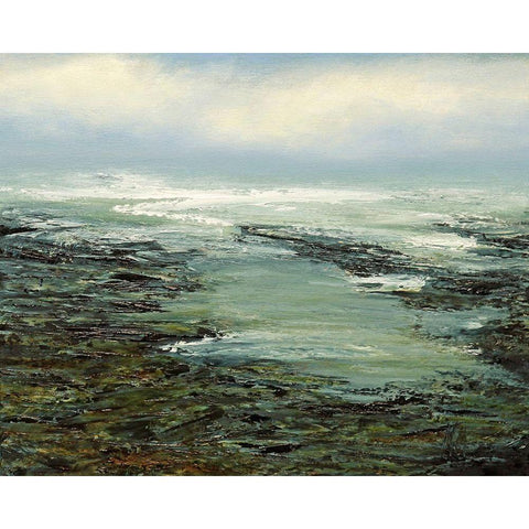 Shallow Reef Black Modern Wood Framed Art Print by Mote, Michael