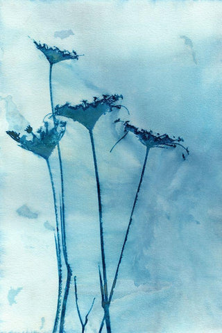 Blue Anne White Modern Wood Framed Art Print with Double Matting by McCurdy, Krista