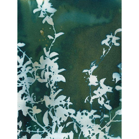 Dark Garden White Modern Wood Framed Art Print by McCurdy, Krista