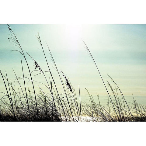 Coastal Black Modern Wood Framed Art Print by Marie, Dina