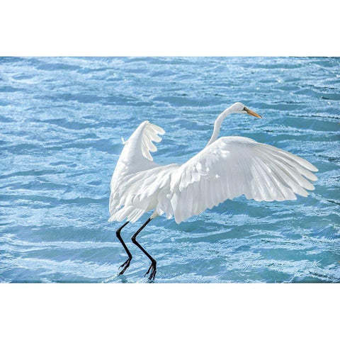Taking Flight Gold Ornate Wood Framed Art Print with Double Matting by Marie, Dina