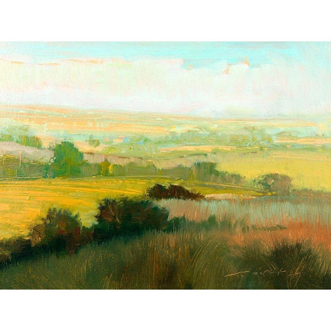Morning Mist Black Modern Wood Framed Art Print with Double Matting by McCarthy, William