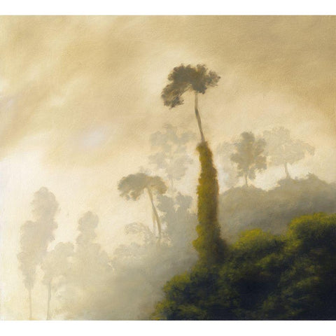 Fog Black Modern Wood Framed Art Print by Monzon, Rick