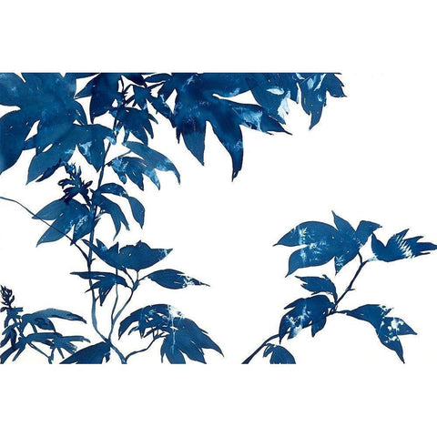 Quercifolia Black Modern Wood Framed Art Print with Double Matting by MacCollum, Cynthia