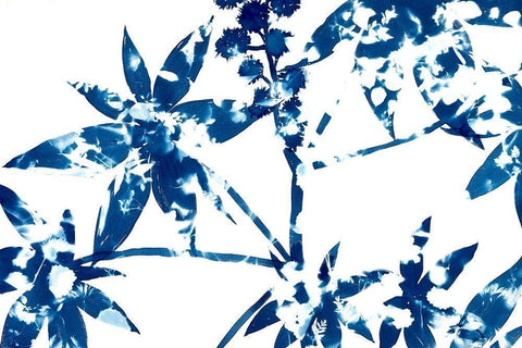 Outlaw White Modern Wood Framed Art Print with Double Matting by MacCollum, Cynthia