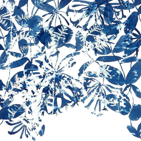 Honeysuckle White Modern Wood Framed Art Print with Double Matting by MacCollum, Cynthia