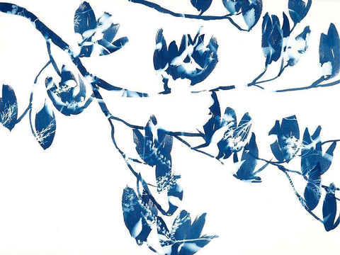 Magnolia White Modern Wood Framed Art Print with Double Matting by MacCollum, Cynthia