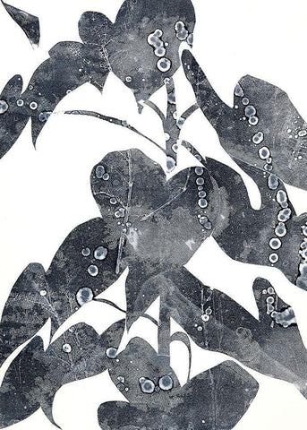 Urbana Black Ornate Wood Framed Art Print with Double Matting by MacCollum, Cynthia