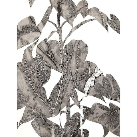 Losarim White Modern Wood Framed Art Print by MacCollum, Cynthia