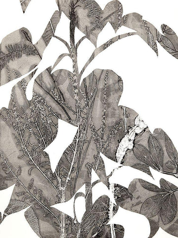 Losarim White Modern Wood Framed Art Print with Double Matting by MacCollum, Cynthia