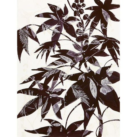 Castor Bean 2 Black Modern Wood Framed Art Print by MacCollum, Cynthia