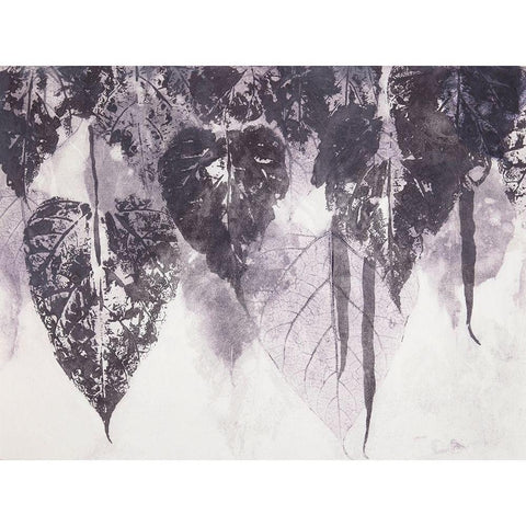 Bean Tree Black Modern Wood Framed Art Print by MacCollum, Cynthia