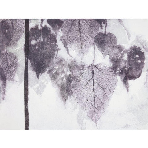 Catalpa White Modern Wood Framed Art Print by MacCollum, Cynthia