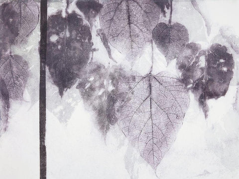 Catalpa White Modern Wood Framed Art Print with Double Matting by MacCollum, Cynthia