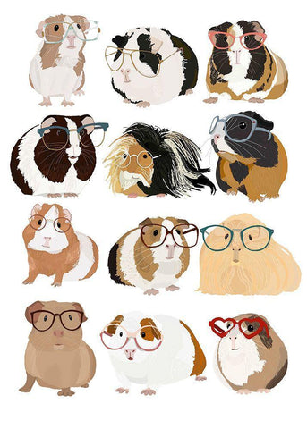 Guinea Pigs In Glasses Black Ornate Wood Framed Art Print with Double Matting by Melin, Hanna