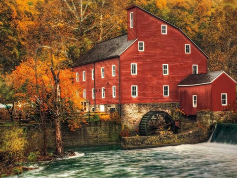 Country Living Black Ornate Wood Framed Art Print with Double Matting by Mikaels, Natalie