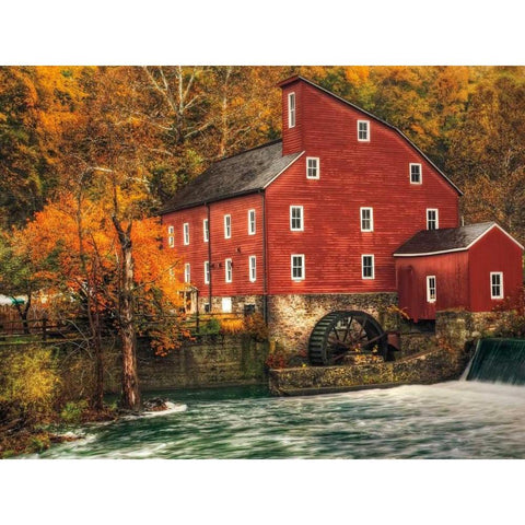 Country Living Gold Ornate Wood Framed Art Print with Double Matting by Mikaels, Natalie