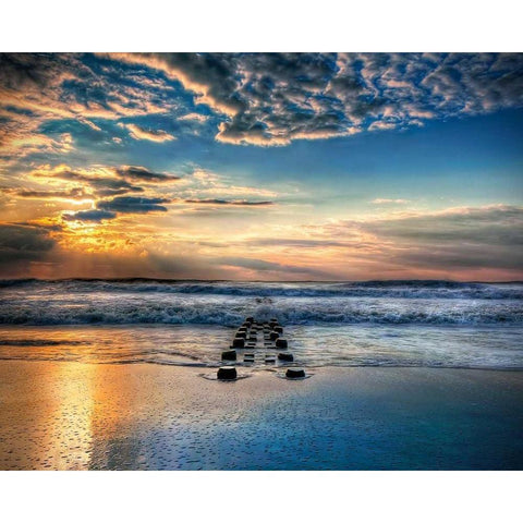 Into the Sea Black Modern Wood Framed Art Print by Mikaels, Natalie