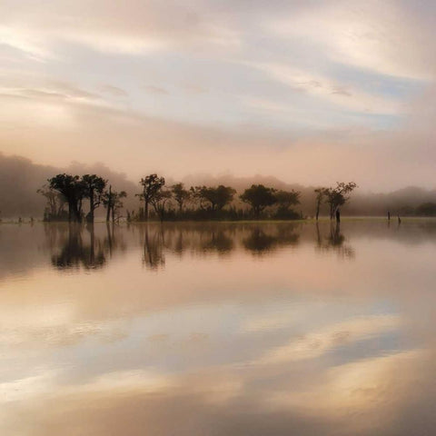 Dawn Mist on the Amazon Black Ornate Wood Framed Art Print with Double Matting by Mumford, Andy