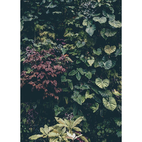 Plant Wall White Modern Wood Framed Art Print by Design Fabrikken