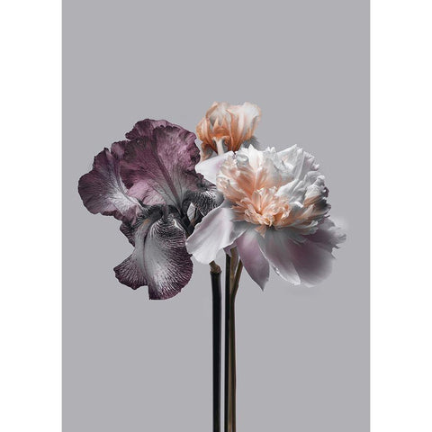 Virtue 1 Black Modern Wood Framed Art Print with Double Matting by Design Fabrikken