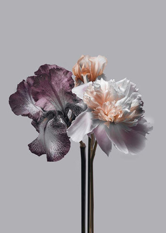 Virtue 1 White Modern Wood Framed Art Print with Double Matting by Design Fabrikken