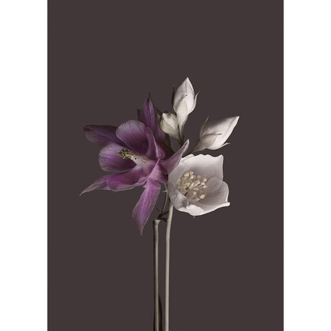 Virtue 2 Black Modern Wood Framed Art Print with Double Matting by Design Fabrikken