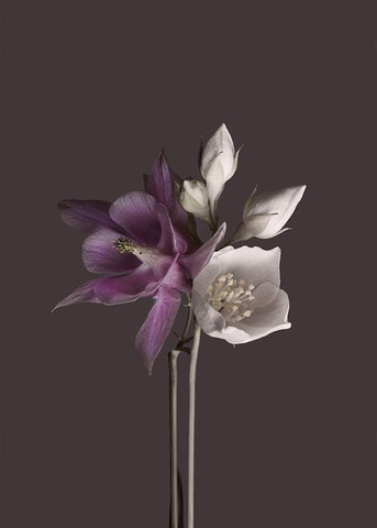 Virtue 2 Black Ornate Wood Framed Art Print with Double Matting by Design Fabrikken