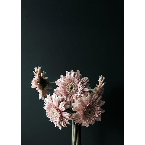 Pink Black Gold Ornate Wood Framed Art Print with Double Matting by Design Fabrikken