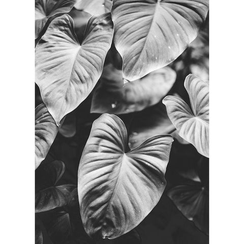 Leaves of Grey White Modern Wood Framed Art Print by Design Fabrikken