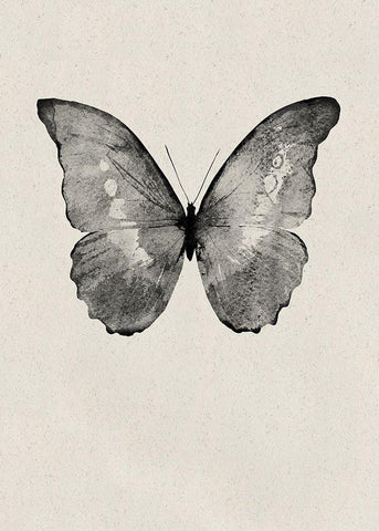 Black Butterfly on Tan Black Ornate Wood Framed Art Print with Double Matting by Design Fabrikken