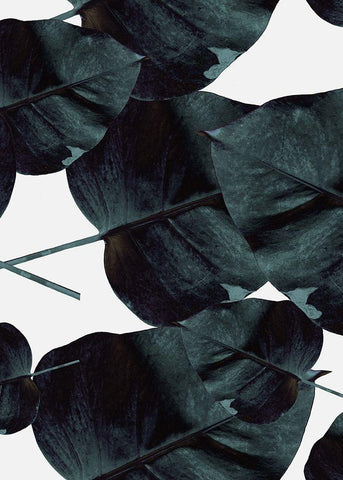 Tropic Sensation Black Ornate Wood Framed Art Print with Double Matting by Design Fabrikken