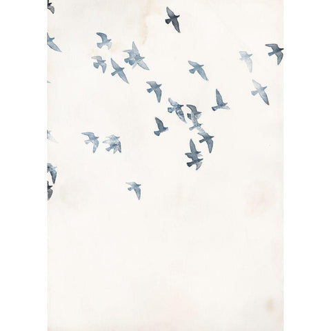 Pigeons Sky Black Modern Wood Framed Art Print with Double Matting by Design Fabrikken