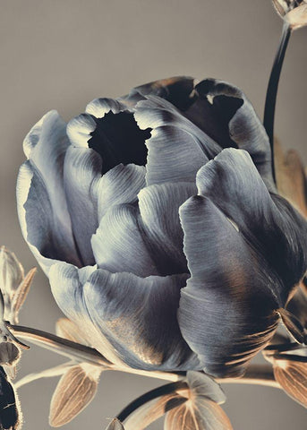 Baroque 3 White Modern Wood Framed Art Print with Double Matting by Design Fabrikken