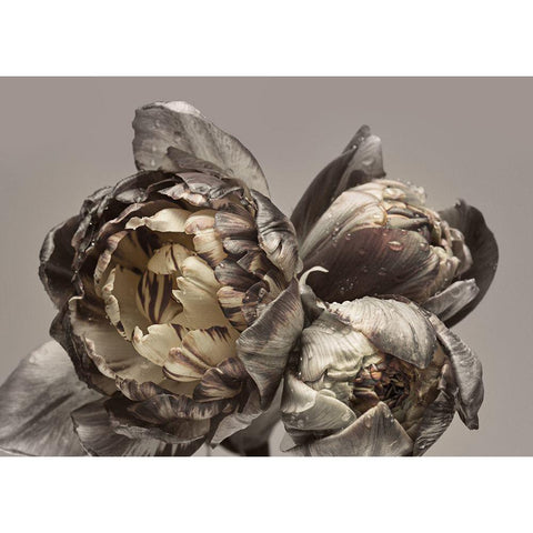 Baroque 4 Gold Ornate Wood Framed Art Print with Double Matting by Design Fabrikken