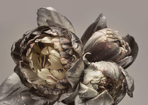 Baroque 4 Black Ornate Wood Framed Art Print with Double Matting by Design Fabrikken