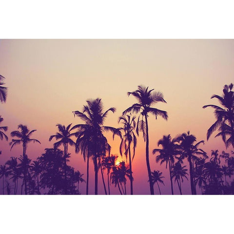 Palm Sky 1 White Modern Wood Framed Art Print by Design Fabrikken