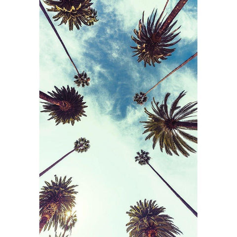 Palm Sky 2 Gold Ornate Wood Framed Art Print with Double Matting by Design Fabrikken