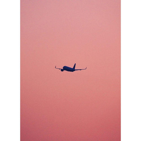 Pink Flight Gold Ornate Wood Framed Art Print with Double Matting by Design Fabrikken