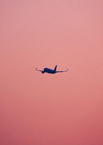 Pink Flight Black Ornate Wood Framed Art Print with Double Matting by Design Fabrikken