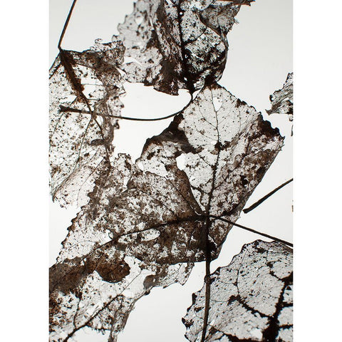 Leaves White Modern Wood Framed Art Print by Design Fabrikken