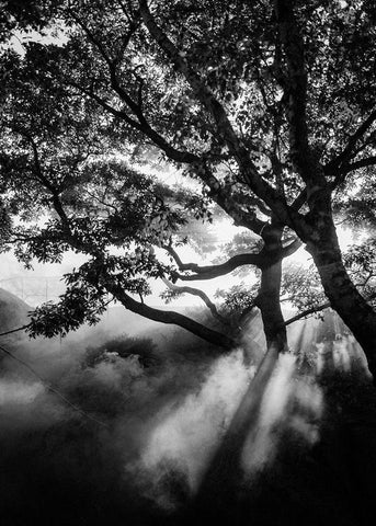 Misty Black White Modern Wood Framed Art Print with Double Matting by Design Fabrikken