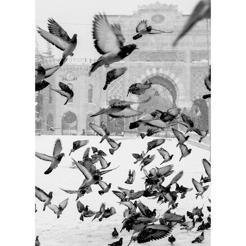 Moscow White Modern Wood Framed Art Print by Design Fabrikken