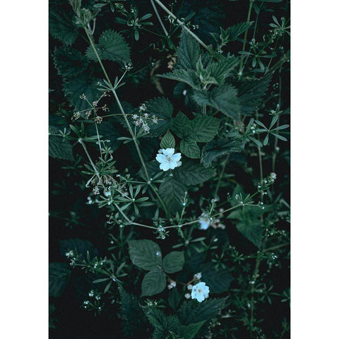 Greenery White Modern Wood Framed Art Print by Design Fabrikken