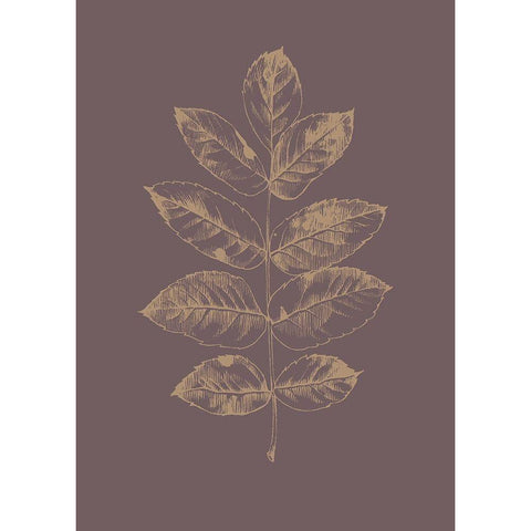 Botanica 2 White Modern Wood Framed Art Print by Design Fabrikken