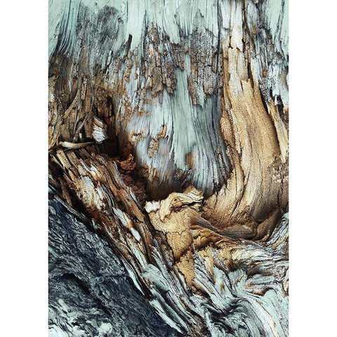 Wooden Black Modern Wood Framed Art Print with Double Matting by Design Fabrikken
